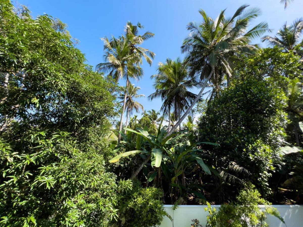 Villa Ema Galle Exteriör bild
