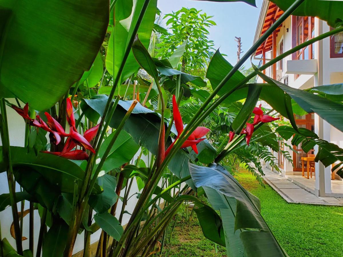 Villa Ema Galle Exteriör bild